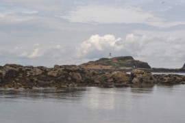 Yellowcraig, West of North Berwick